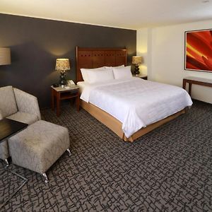 Kamer "Premium" met een King Size Bed