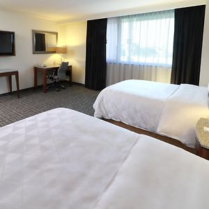 Standaard Kamer met een Queen Size Bed